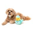 Fuzzyard Plush Dog Toy Ducktor For Discount