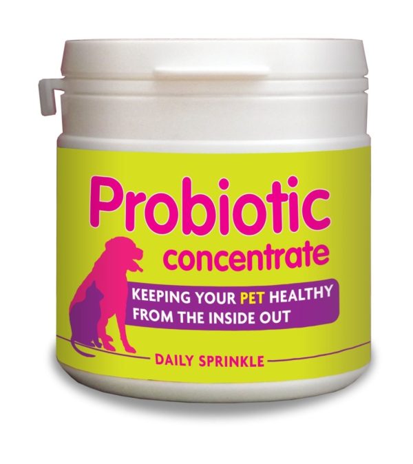 Phytopet Pro Biotic 100g For Discount