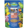 Vetafarm Parrot Essentials Food Online now