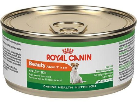 Royal Canin Canine Health Nutrition Beauty Adult in Gel Canned Dog Food, 24 5.8 oz Online now