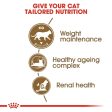 ROYAL CANIN® Ageing Sterilised 12+ Senior Dry Cat Food Sale