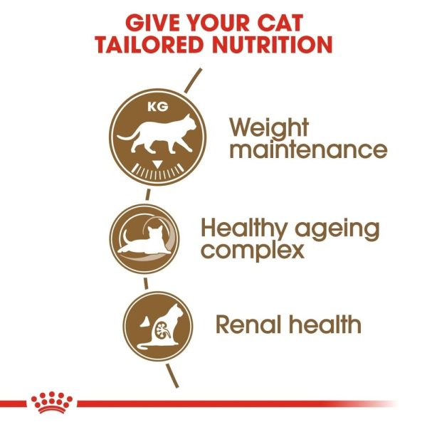 ROYAL CANIN® Ageing Sterilised 12+ Senior Dry Cat Food Sale