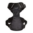 Bunty Adventure Dog Harness on Sale