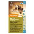 Advantage Multi Topical Solution for Dogs, 6 treatments Supply