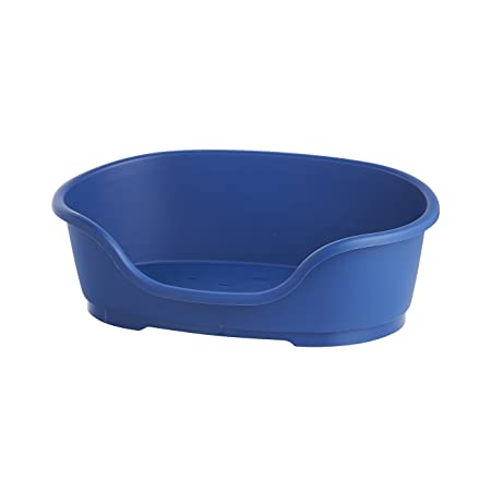 Plastic Dog Bed -Blue  Blueberry Online Sale