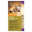 Advantage Multi Topical Solution for Cats, 6 treatments Hot on Sale