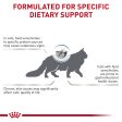 Royal Canin Veterinary Diet Hypoallergenic Adult Dry Cat Food Online now