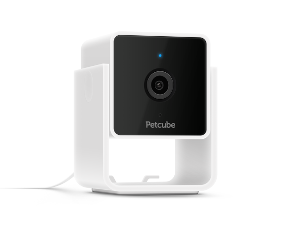 Petcube Pet Cam For Sale