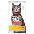 Hill s Science Diet Adult Urinary Hairball Control Dry Cat Food For Discount