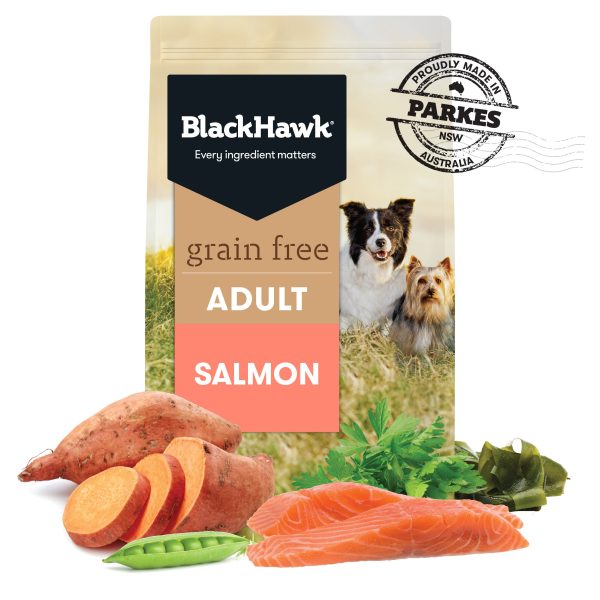 Black Hawk Grain Free Adult Salmon Dry Dog Food Supply