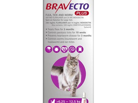 Bravecto Plus Large Cats 6.25-12.5Kg Supply