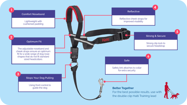 Company of Animals Halti Optifit Dog Headcollar Online