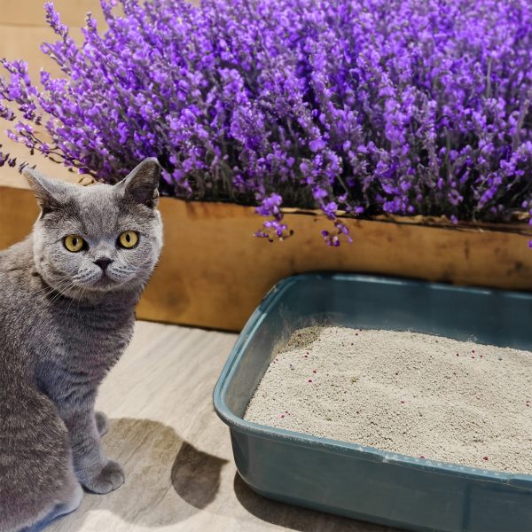 Poowee! Clumping Lavender Cat Litter For Discount