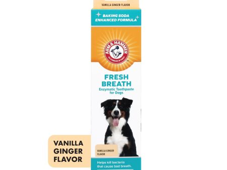 Arm and Hammer Fresh Breath Enzymatic Toothpaste for Dogs Vanilla Ginger Cheap