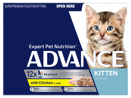 Advance Chicken in Jelly Kitten Wet Food Tray 85g x 12 Online now