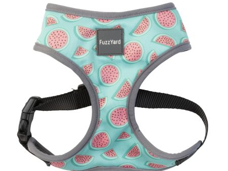 FuzzYard Summer Punch Dog Harness Fashion