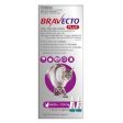 Bravecto Plus Large Cats 6.25-12.5Kg Supply