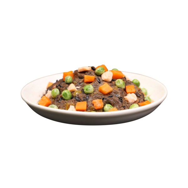 Absolute Holistic Home Cooked Recipe Fish Peas & Duck Dog Wet Food 125g x 3 Online now