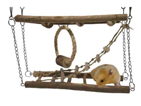 Rosewood Activity Suspension Bridge Online now