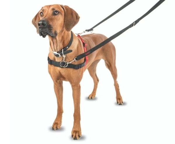 Company of Animals Halti Front Control Dog Harness For Discount