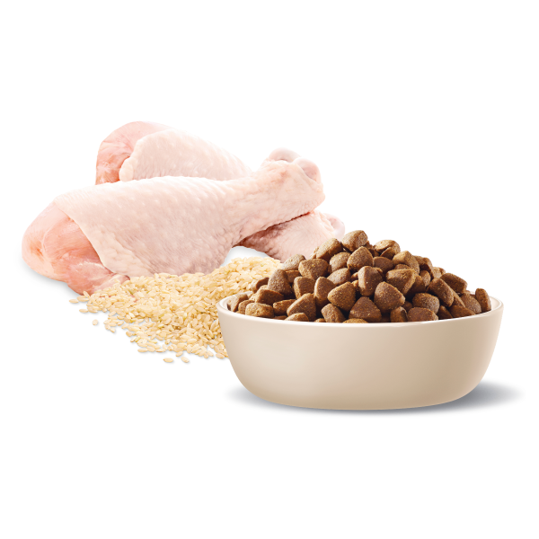 Advance Chicken and Rice Medium Breed Adult Dog Dry Food Discount