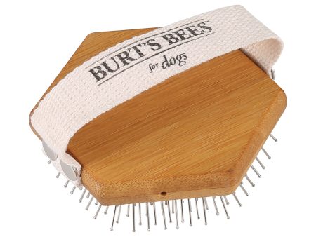 Burts Bee s Palm Bristle Dog Brush Sale