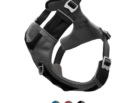 Kurgo Journey Air Dog Harness Black Online now