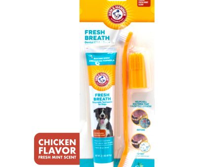 Arm and Hammer Fresh Breath Dental Kit for Dogs Chicken Sale