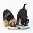 Lily and Dash Dog Bowl Cloud For Discount