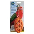 Jw Insight Nutcase Bird Toy Hot on Sale