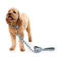 FuzzYard Ahoy There! Dog Collar Online Sale