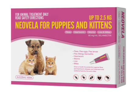 Neovela For Puppies and Kittens 2.5kg 4 Pack Online Sale