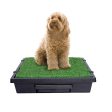 PetSafe Pet Loo Pet Toilet Hot on Sale