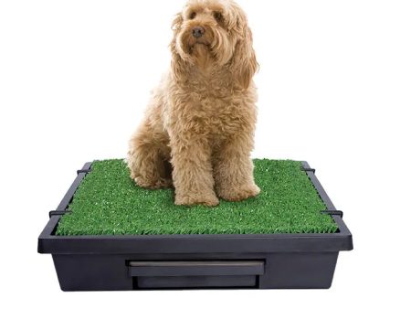 PetSafe Pet Loo Pet Toilet Hot on Sale