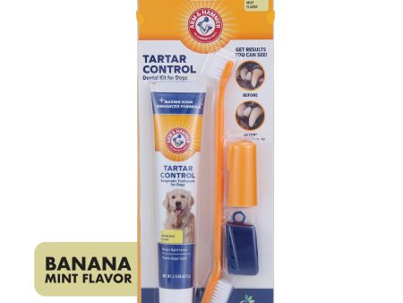 Arm and Hammer Tartar Control Dental Kit for Dogs Banana Mint Sale