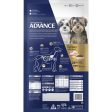 Advance Turkey and Rice Maltese Adult Dog Dry Food 13kg Cheap