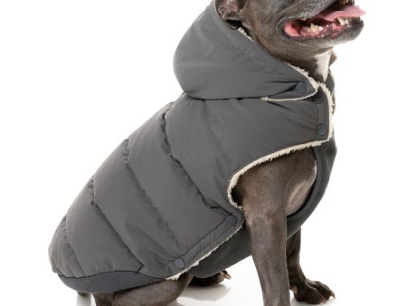 FuzzYard Essential Puffer Dog Jacket Charcoal For Discount