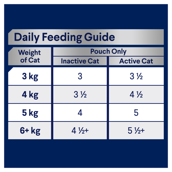 Advance Indoor Chicken and Turkey Wet Cat Food Trays 85g x 12 Discount