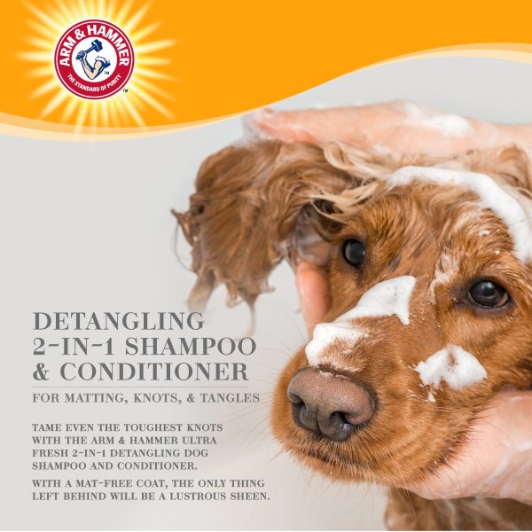 Arm and Hammer Ultra Fresh 2-in-1 Detangling Shampoo & Conditioner with Coconut Oil & Silk Protein For Discount