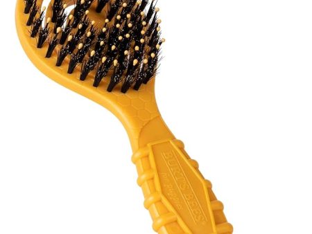 Burt s Bees Ocean Bound Plastic Porcupine Bristle Dog Brush For Sale