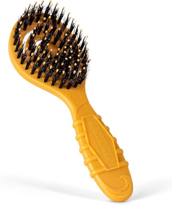 Burt s Bees Ocean Bound Plastic Porcupine Bristle Dog Brush For Sale