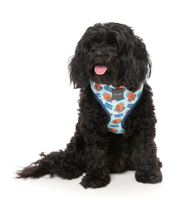 FuzzYard Ahoy There! Dog Harness Online Hot Sale