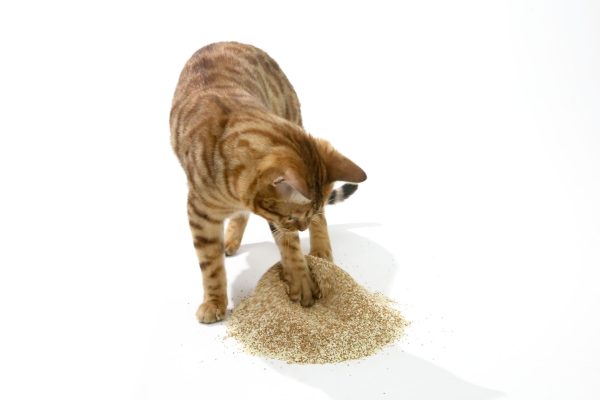 ZODIAC Natural Way Walnut Shell & Cassava Cat Litter Discount