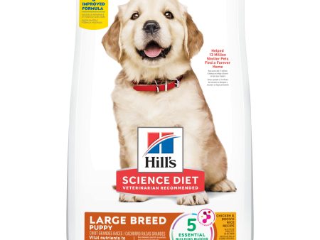 Hill s Science Diet Puppy Large Breed Dry Dog Food For Discount