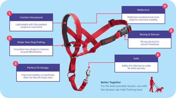 Company of Animals Halti Dog Headcollar Red Online