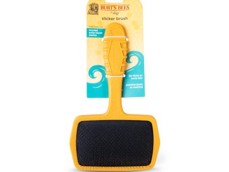 Burt s Bees Ocean Bound Plastic Slicker Dog Brush Online Sale