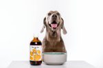 Pet Drs Dog Supplement Mega Oil 500ml Hot on Sale