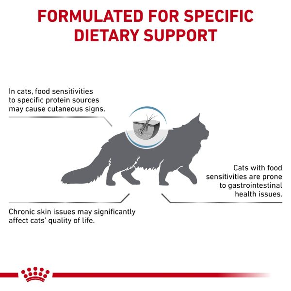 Royal Canin Veterinary Diet Anallergenic Adult Dry Cat Food Discount