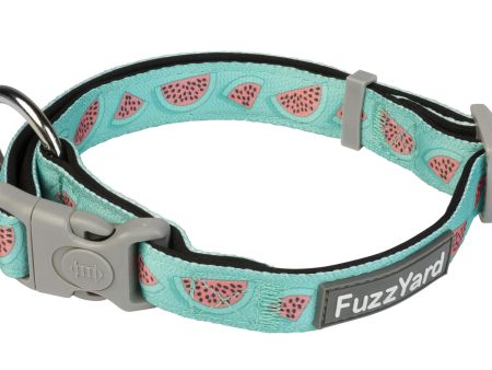 FuzzYard Summer Punch Dog Collar For Cheap