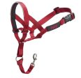 Company of Animals Halti Dog Headcollar Red Online